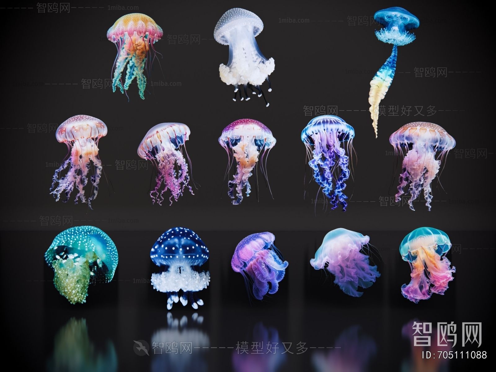 Modern Aquatic Animals