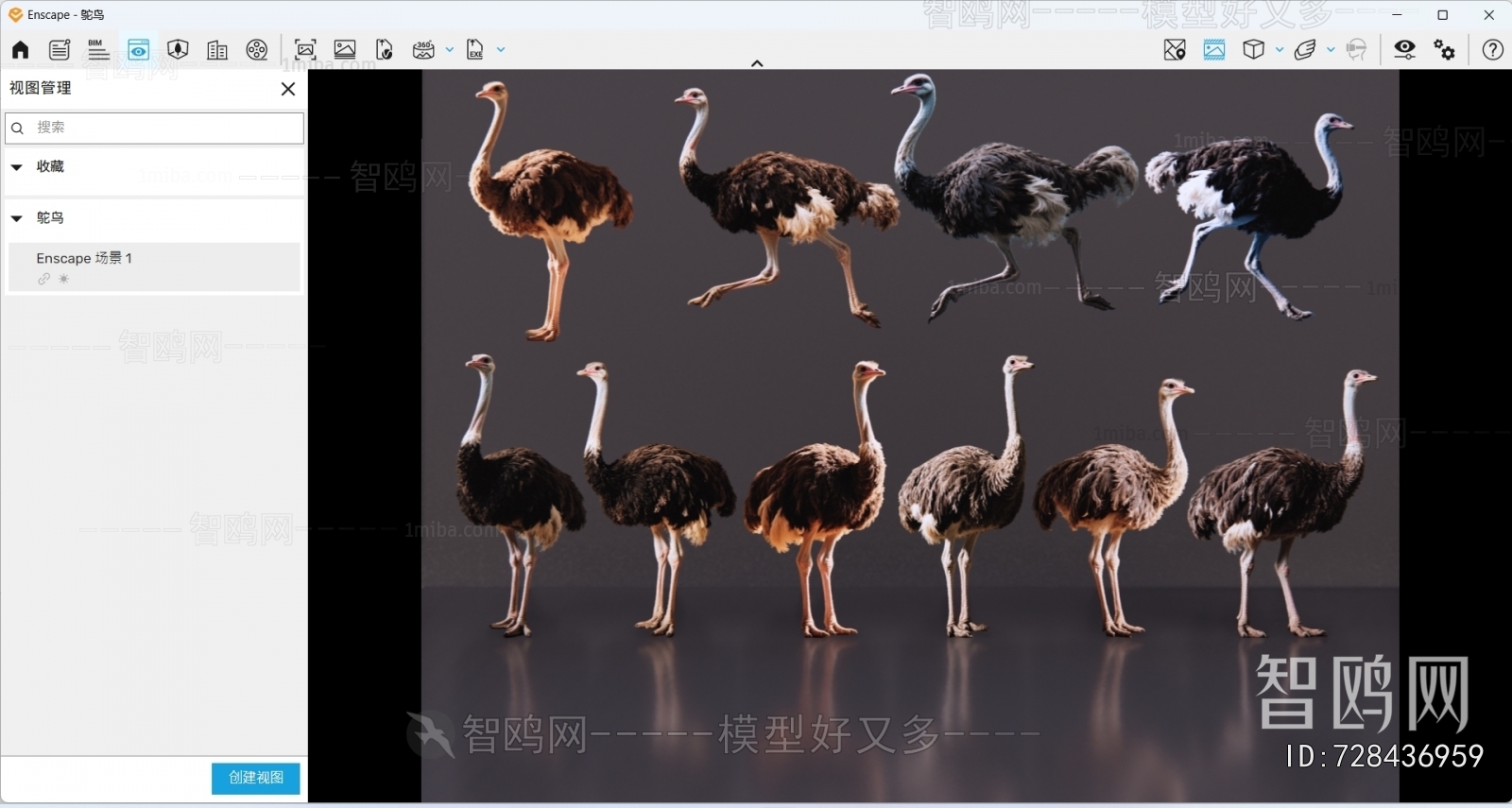 Modern Other Animals