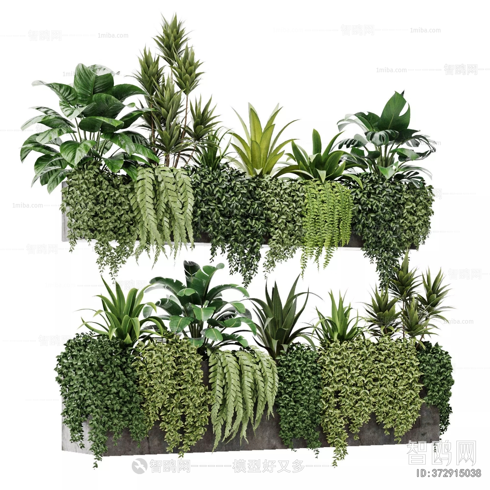 Modern Flower Bed, Flower Bowl, Flower Box