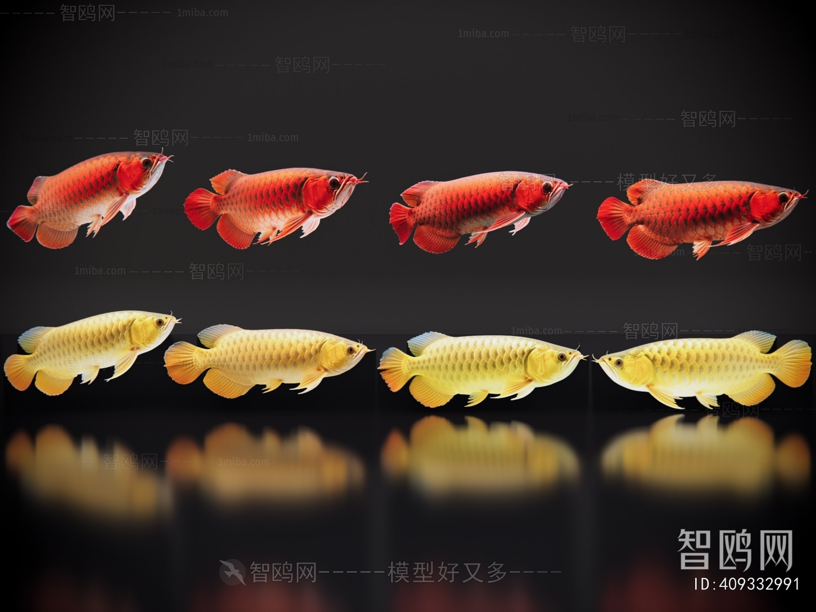 Modern Aquatic Animals