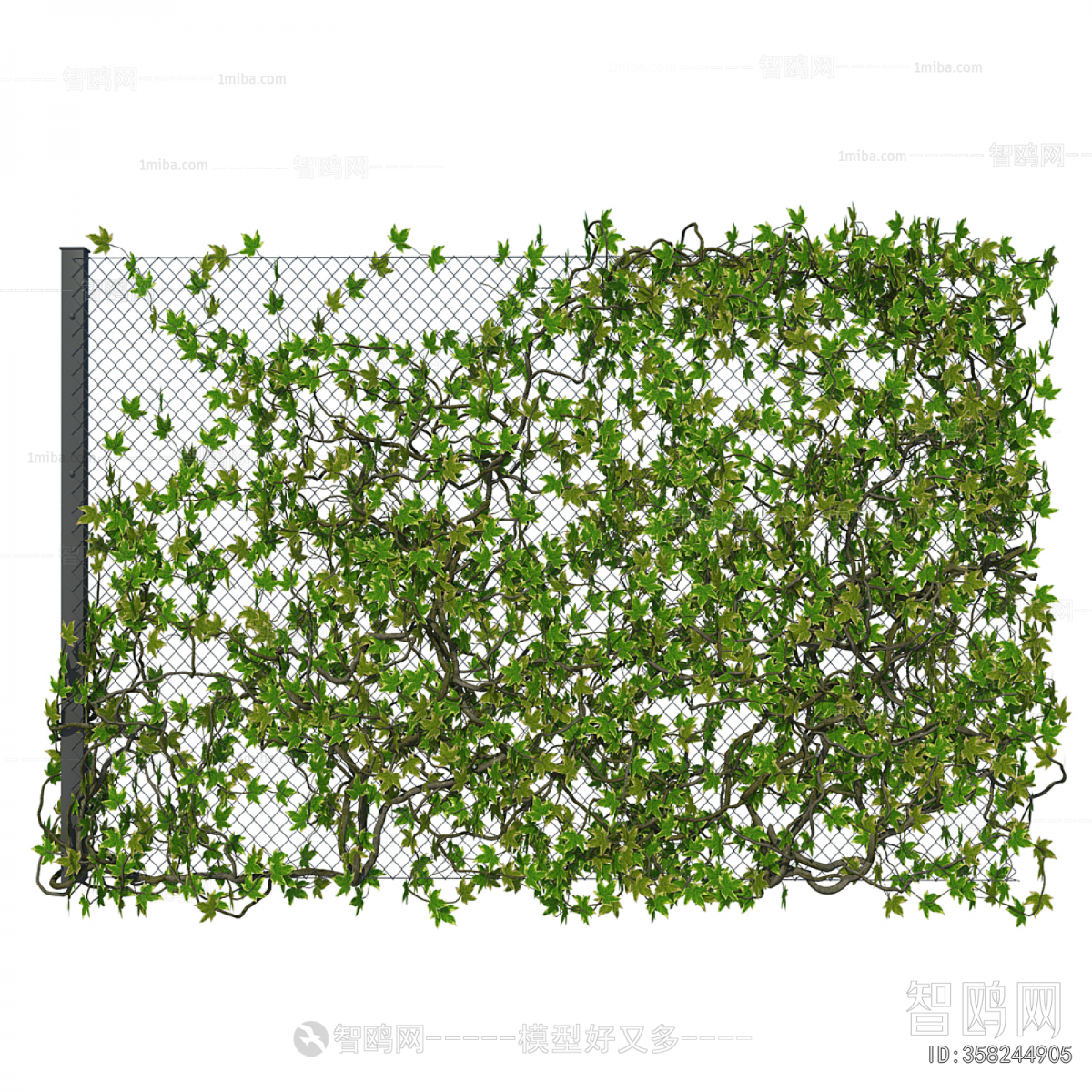 Modern Vine