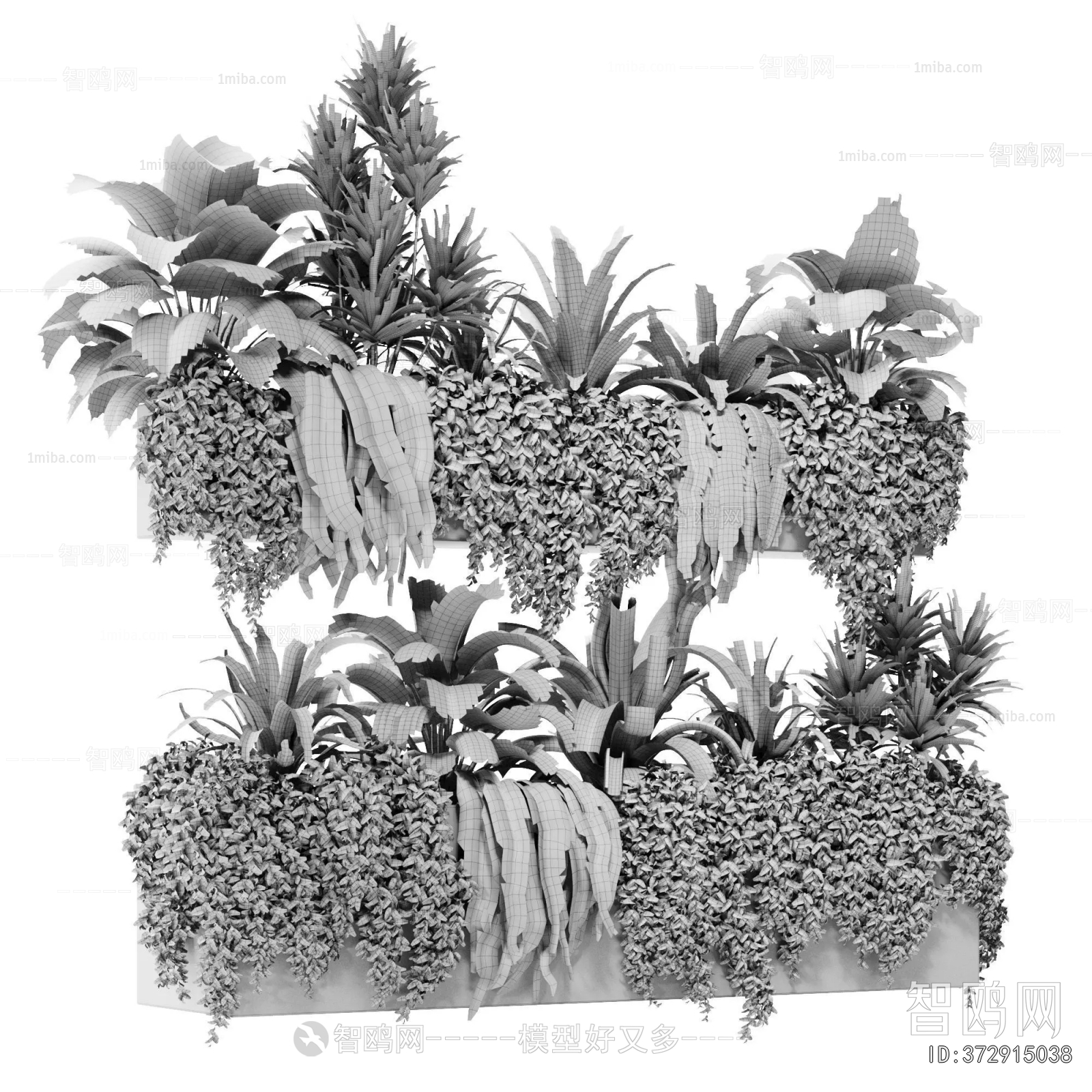 Modern Flower Bed, Flower Bowl, Flower Box