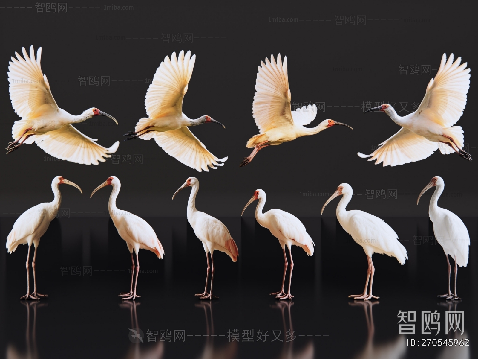 Modern Flying Animals