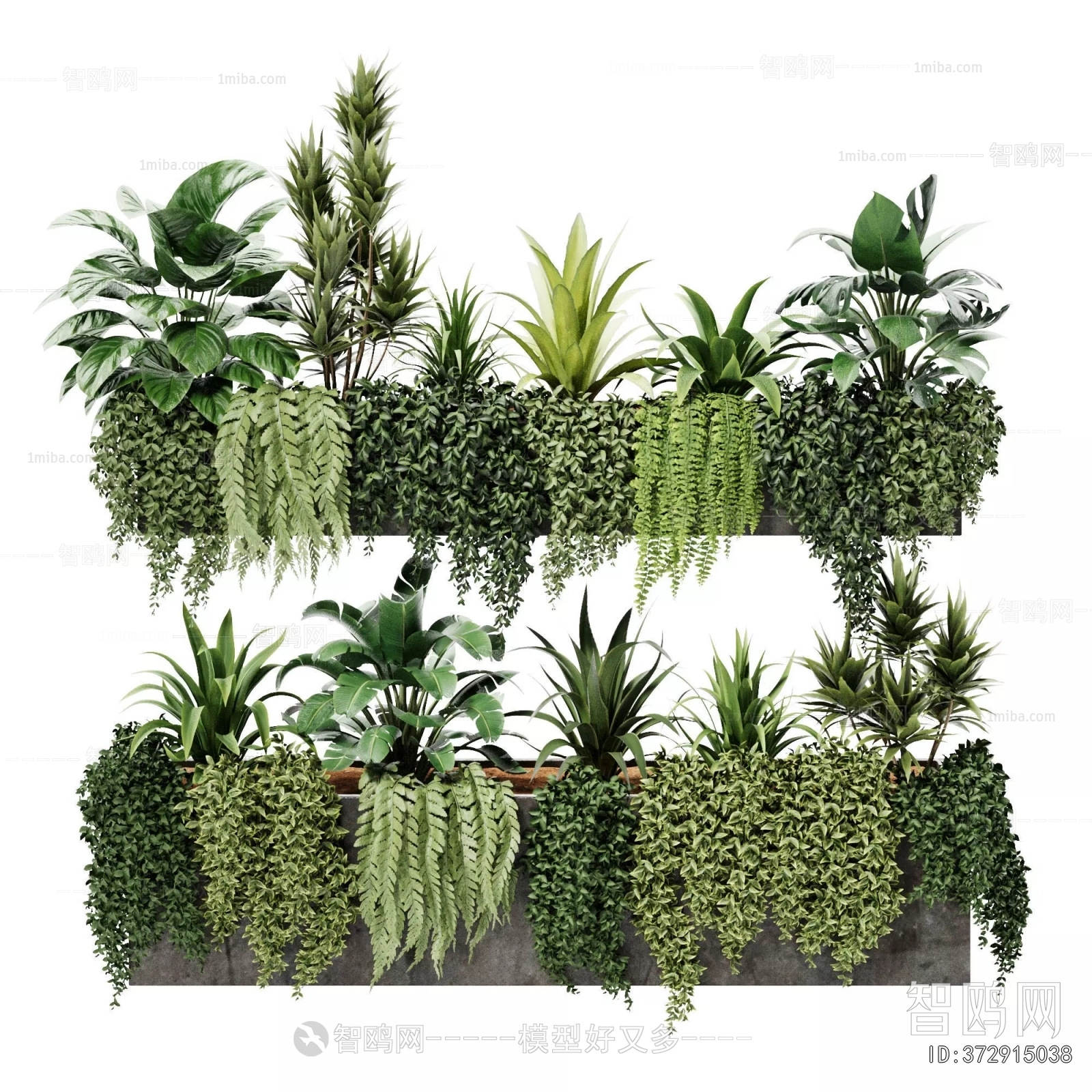 Modern Flower Bed, Flower Bowl, Flower Box