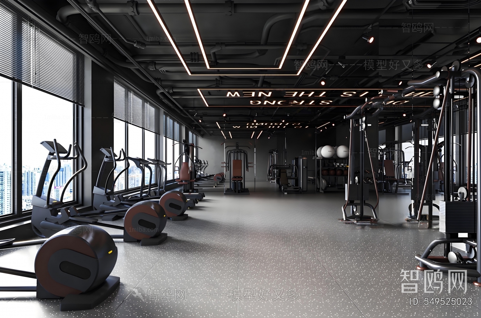 Modern Gym