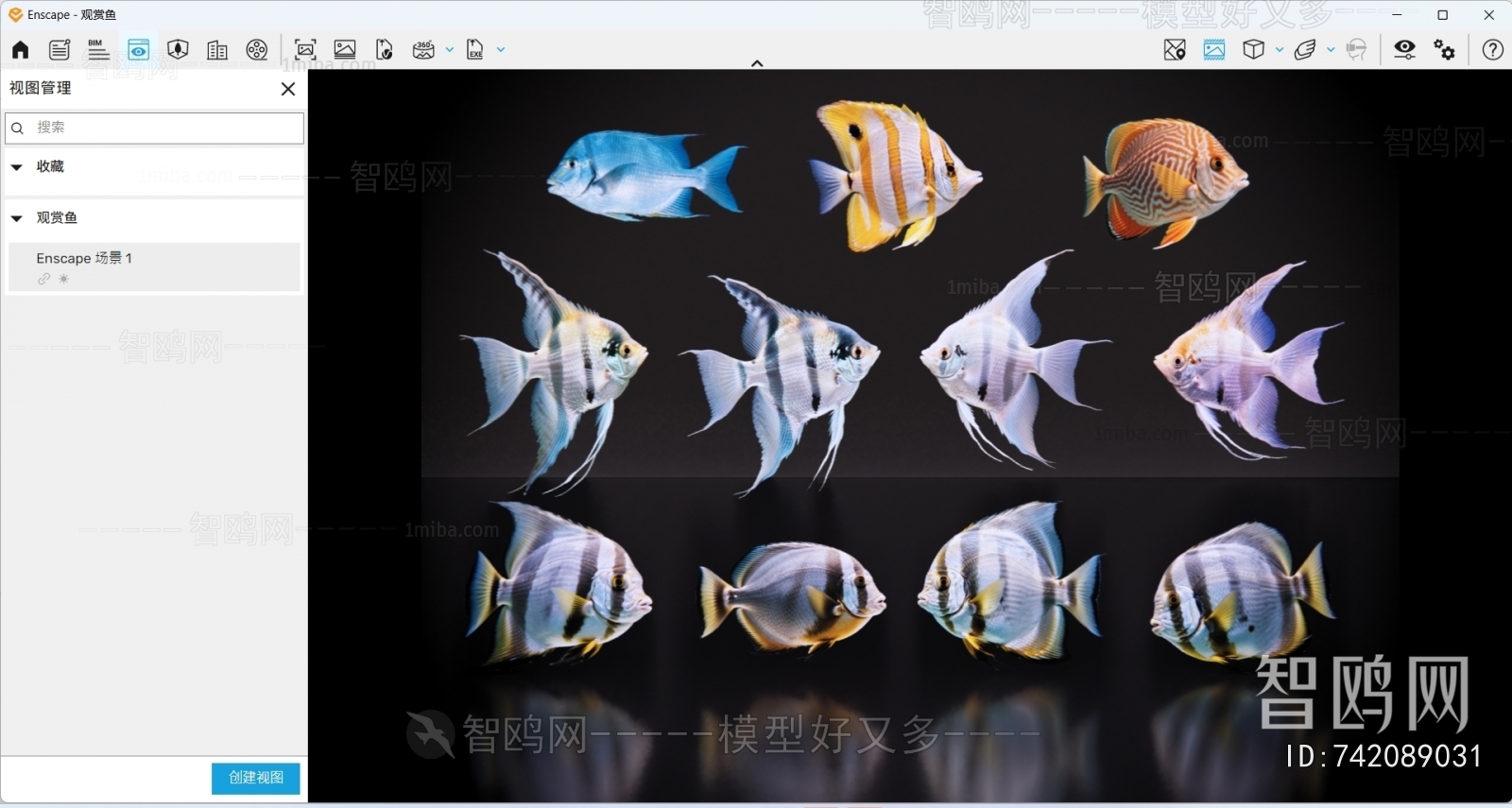 Modern Aquatic Animals