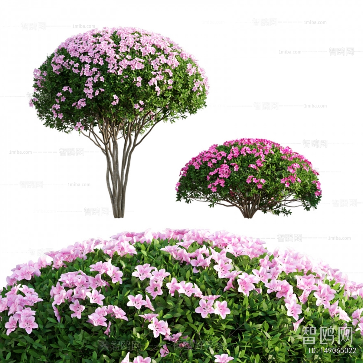 Modern Shrubbery