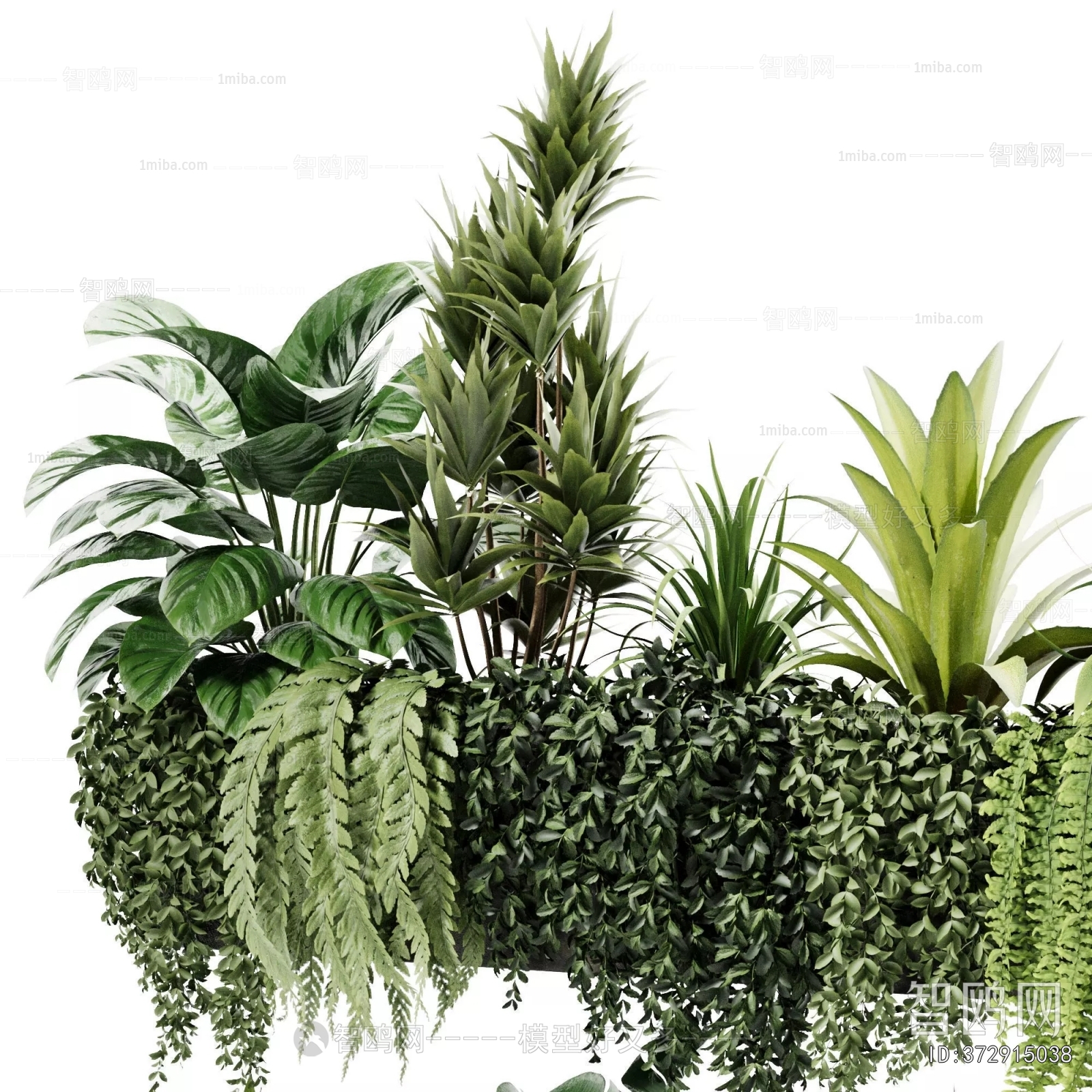 Modern Flower Bed, Flower Bowl, Flower Box