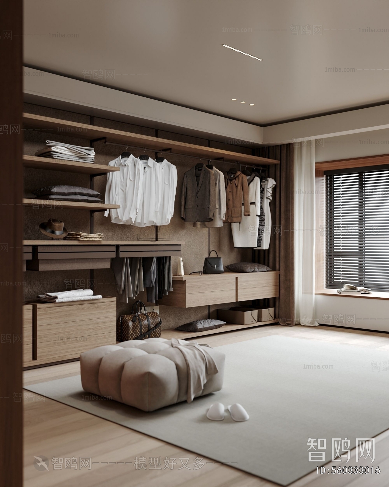 Modern Clothes Storage Area