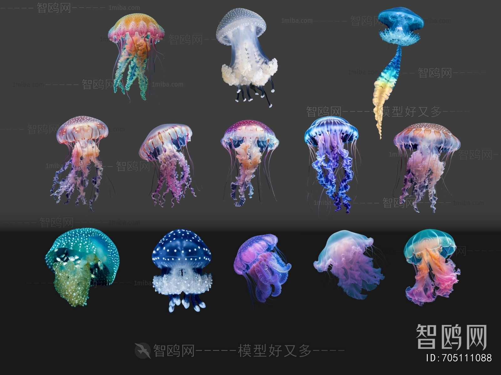 Modern Aquatic Animals