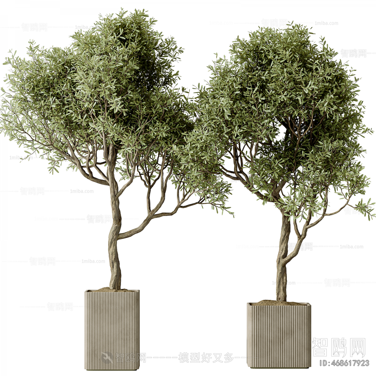 Modern Ground Green Plant Potted Plants