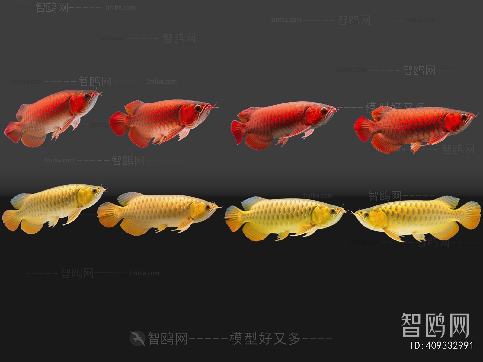 Modern Aquatic Animals