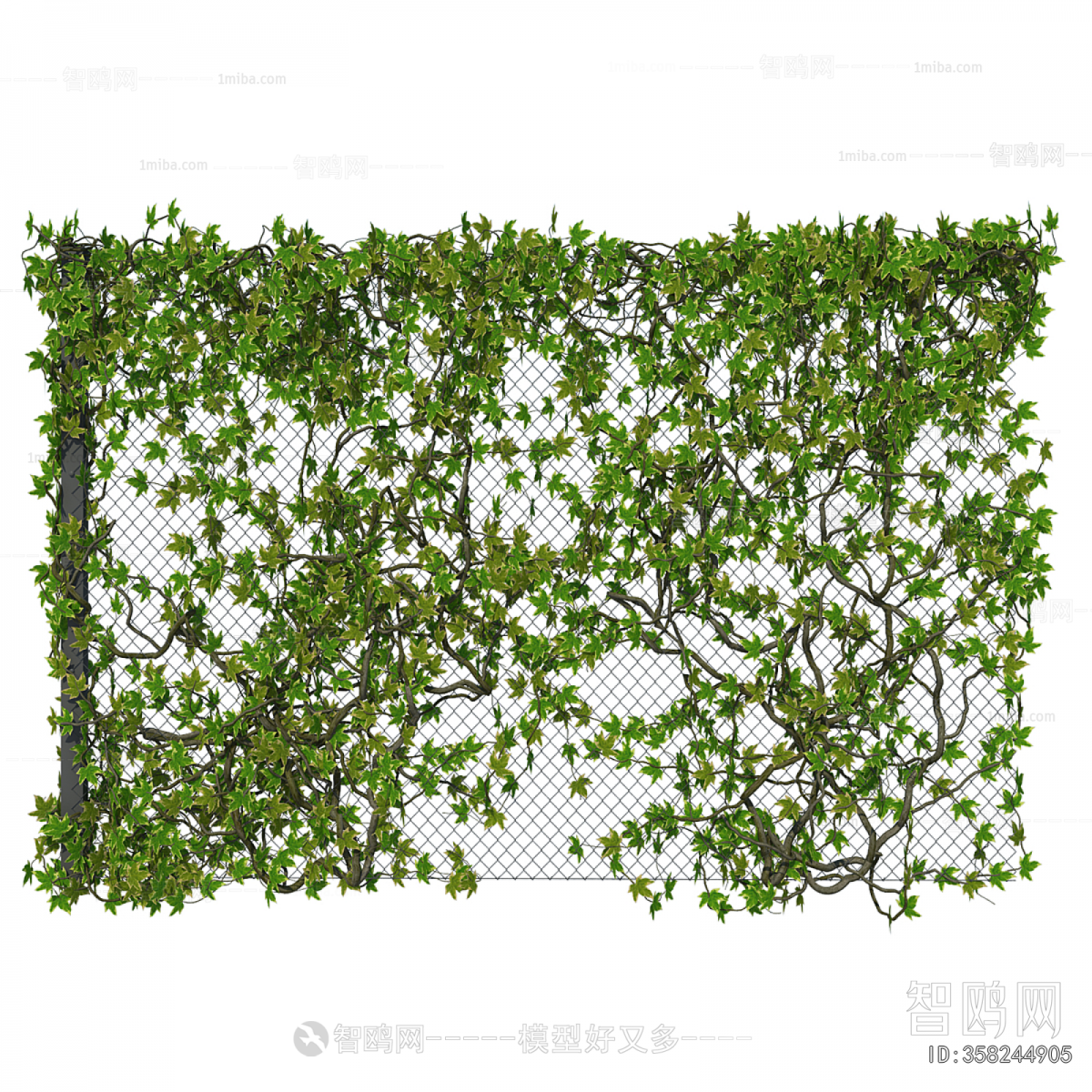 Modern Vine