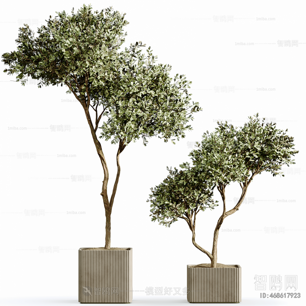 Modern Ground Green Plant Potted Plants