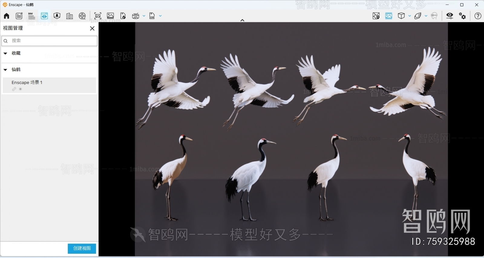 Modern Flying Animals