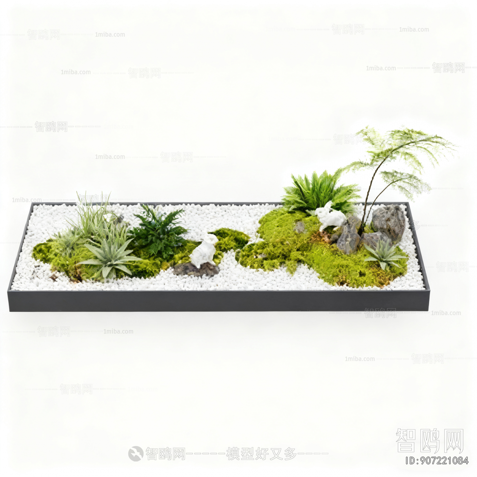 Modern Plant Landscaping