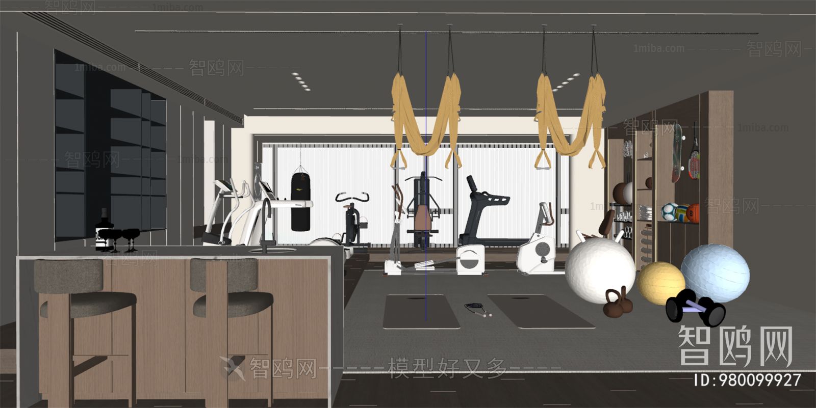 Modern Home Fitness Room