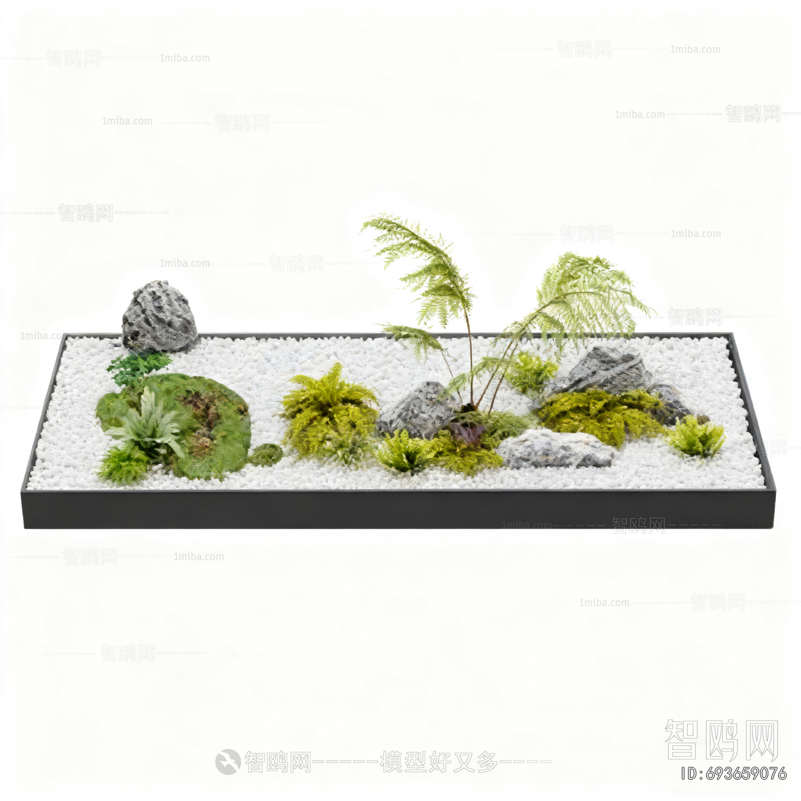 Modern Plant Landscaping