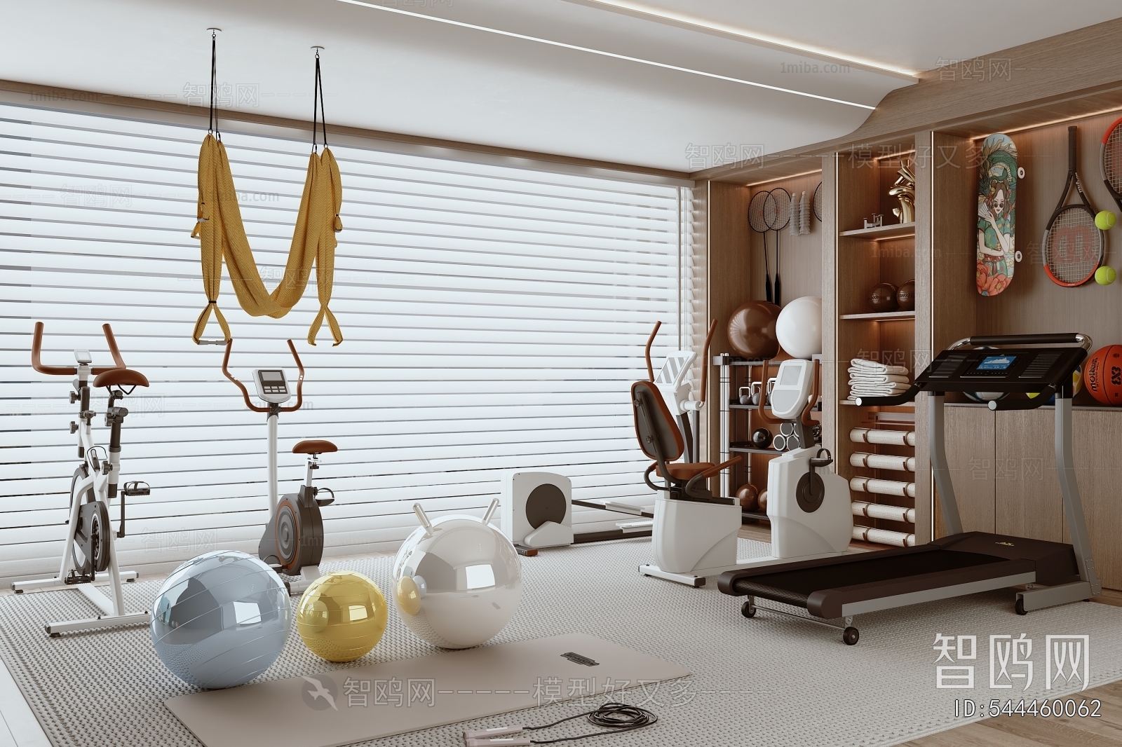 Modern Home Fitness Room