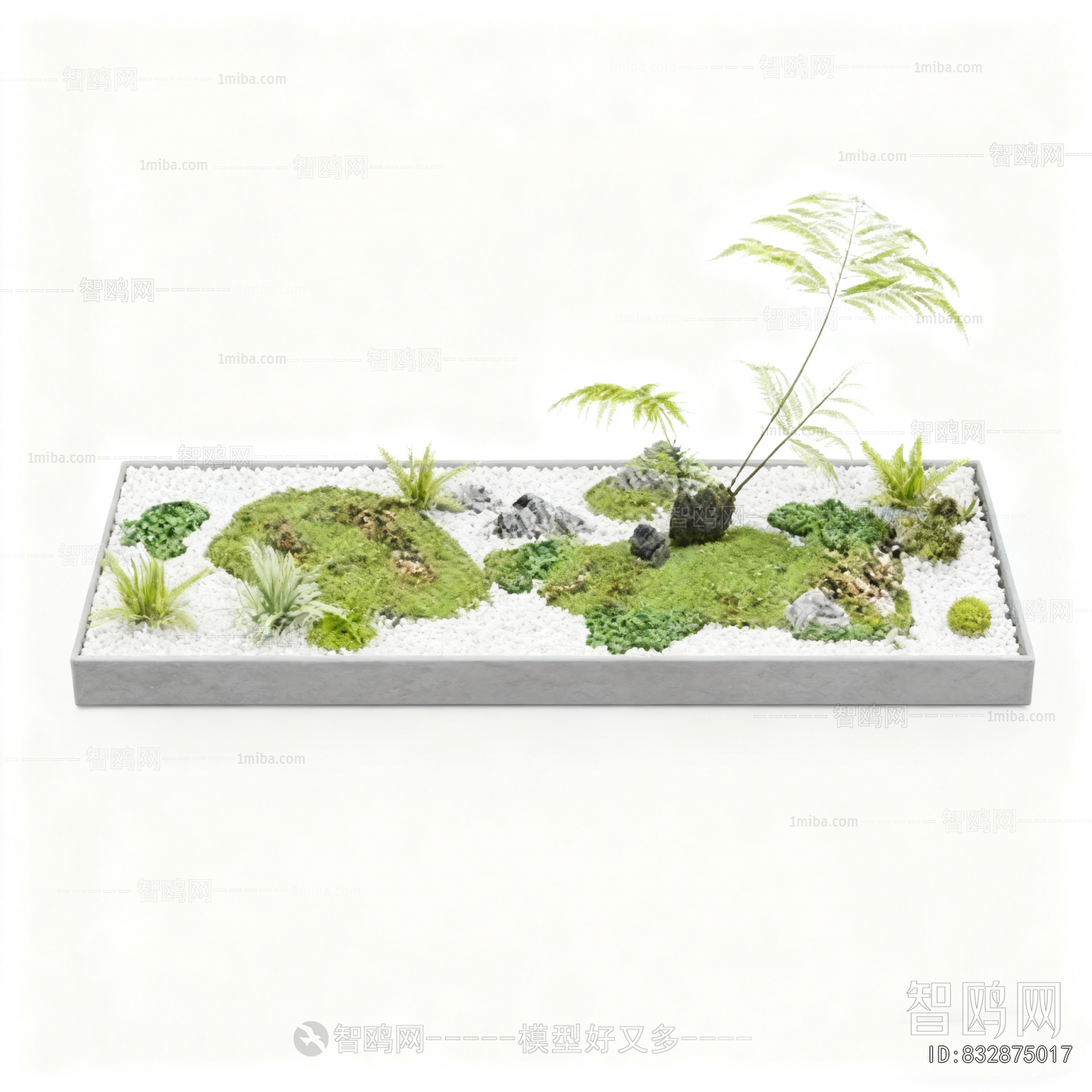 Modern Plant Landscaping