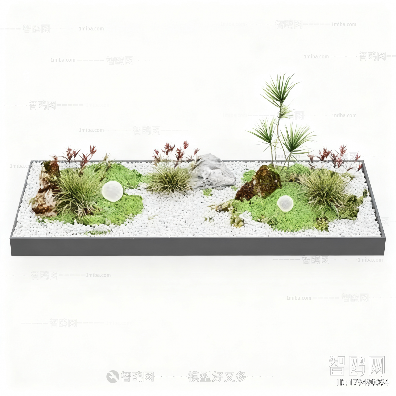 Modern Plant Landscaping