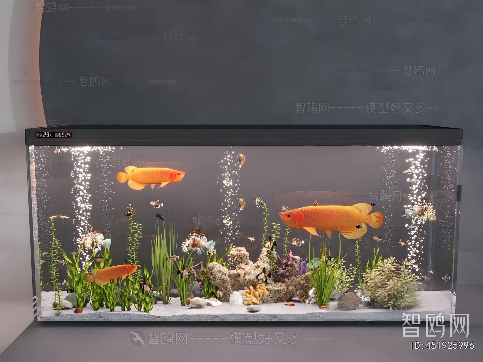 Modern Fish Tank