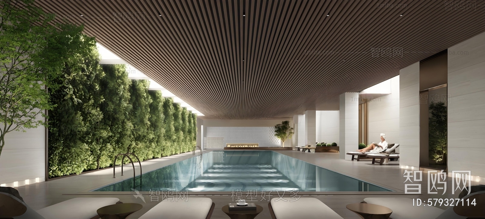 Modern Swimming Pool