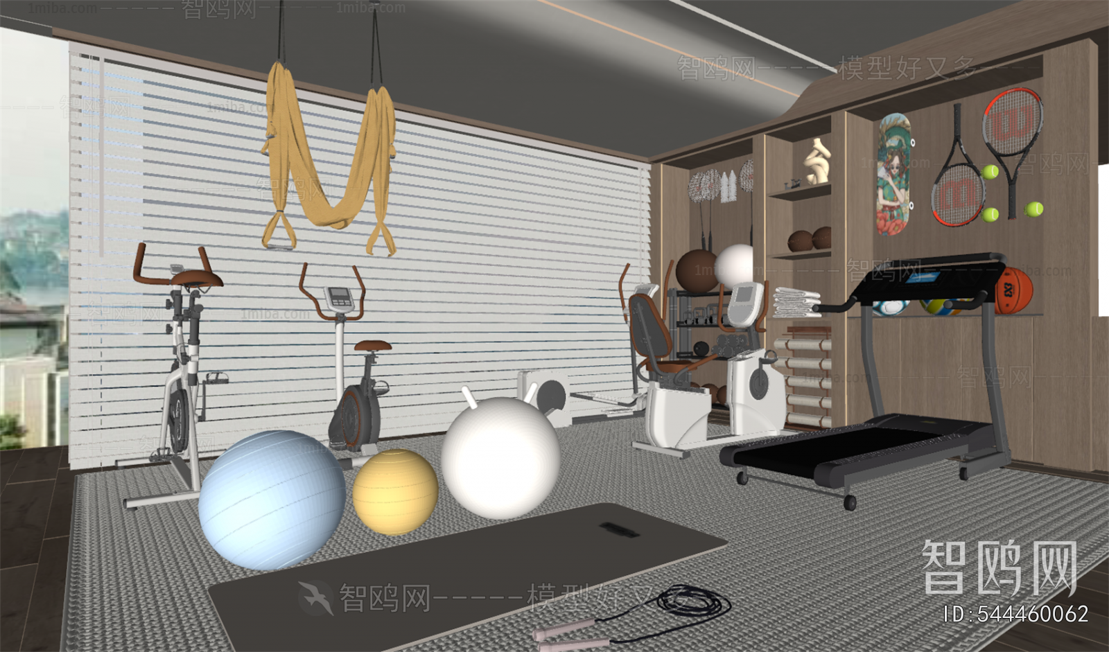Modern Home Fitness Room