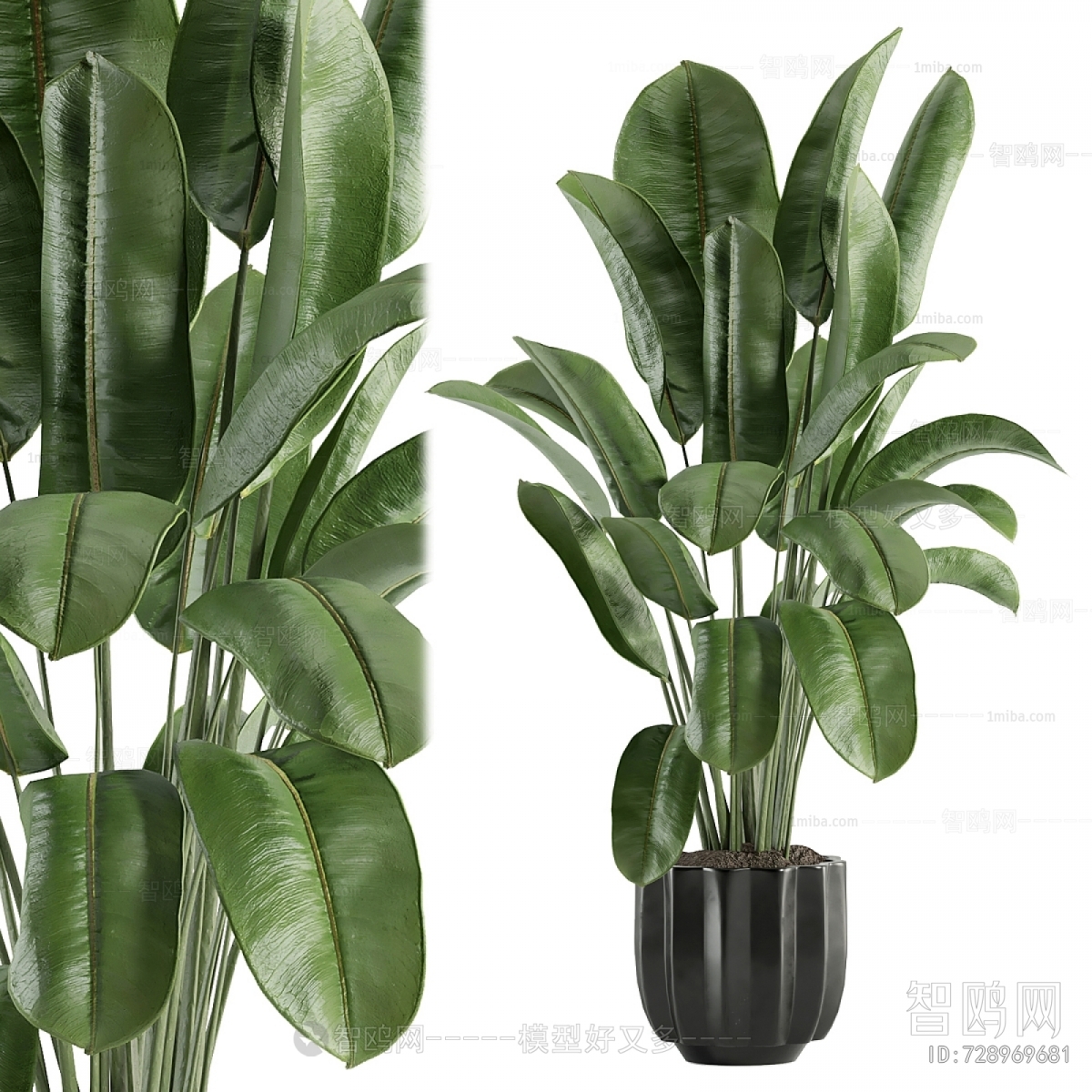Modern Ground Green Plant Potted Plants