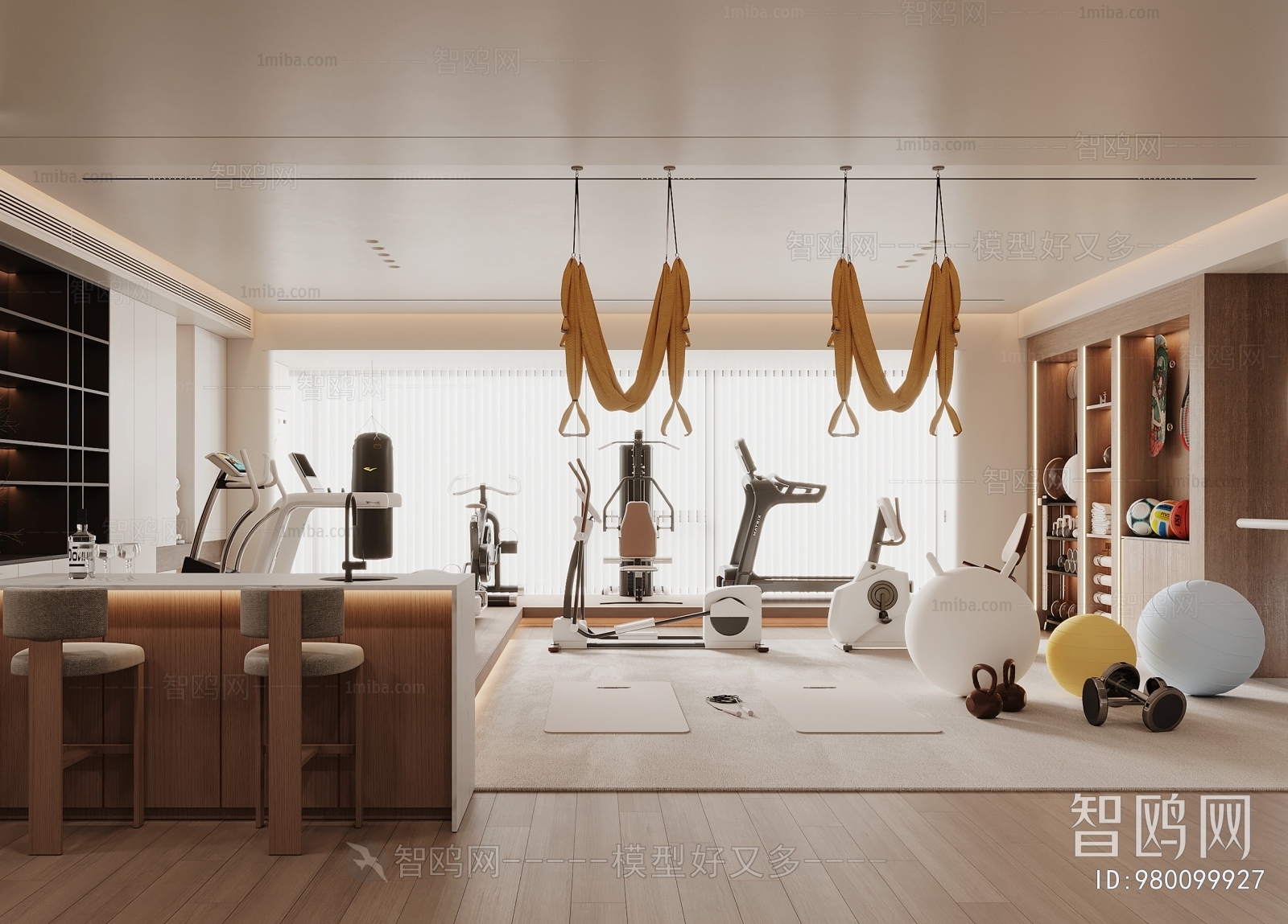 Modern Home Fitness Room
