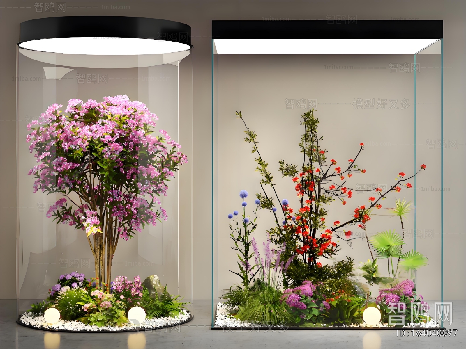 Modern Plant Landscaping