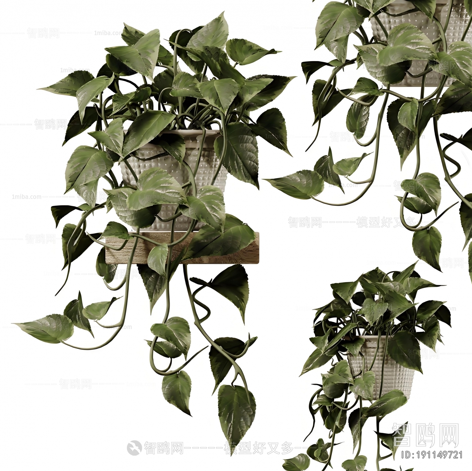 Modern Potted Green Plant