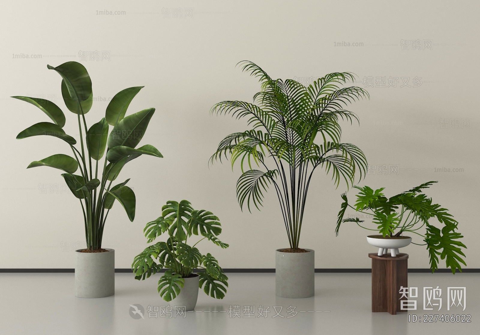 Modern Ground Green Plant Potted Plants