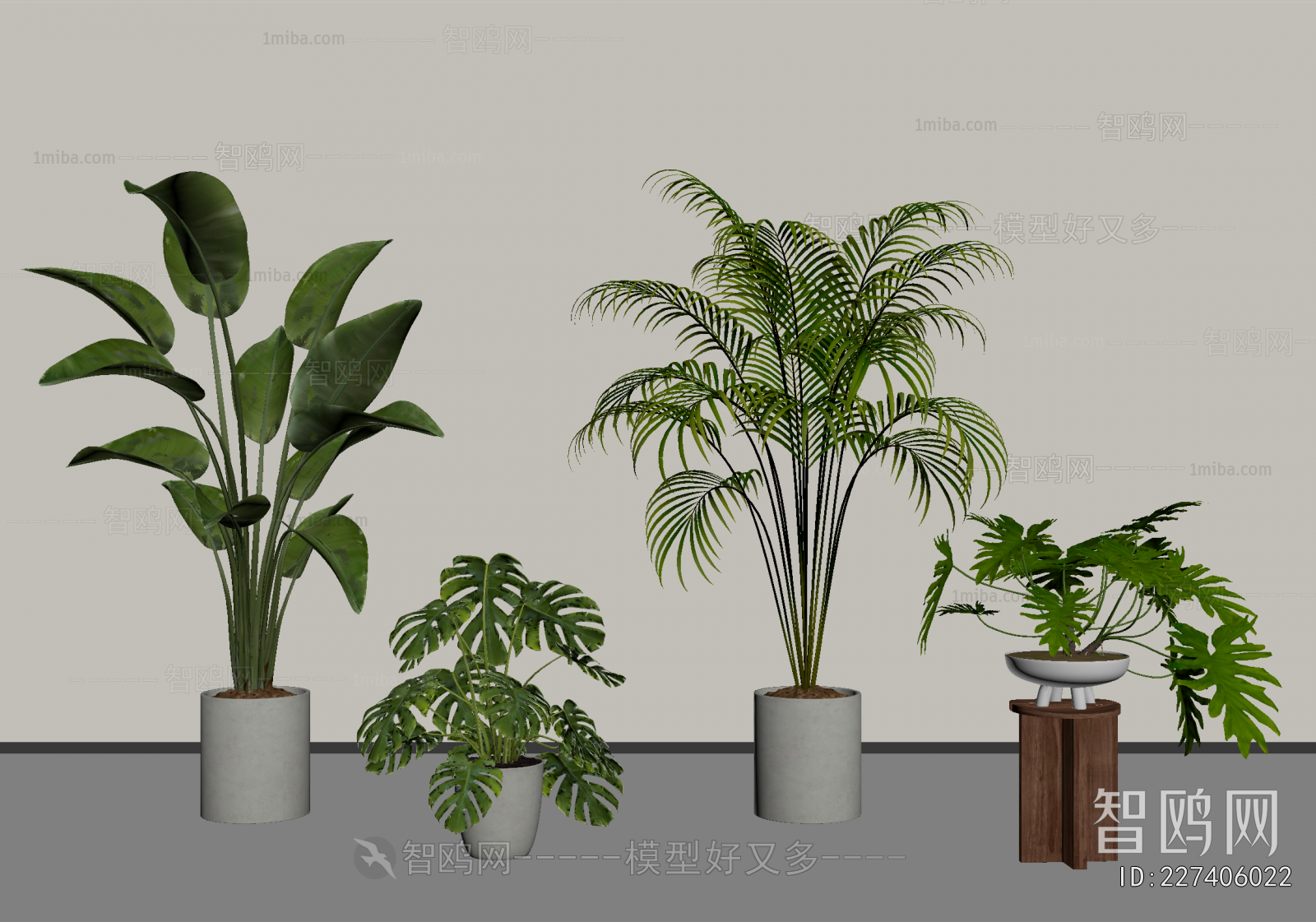 Modern Ground Green Plant Potted Plants