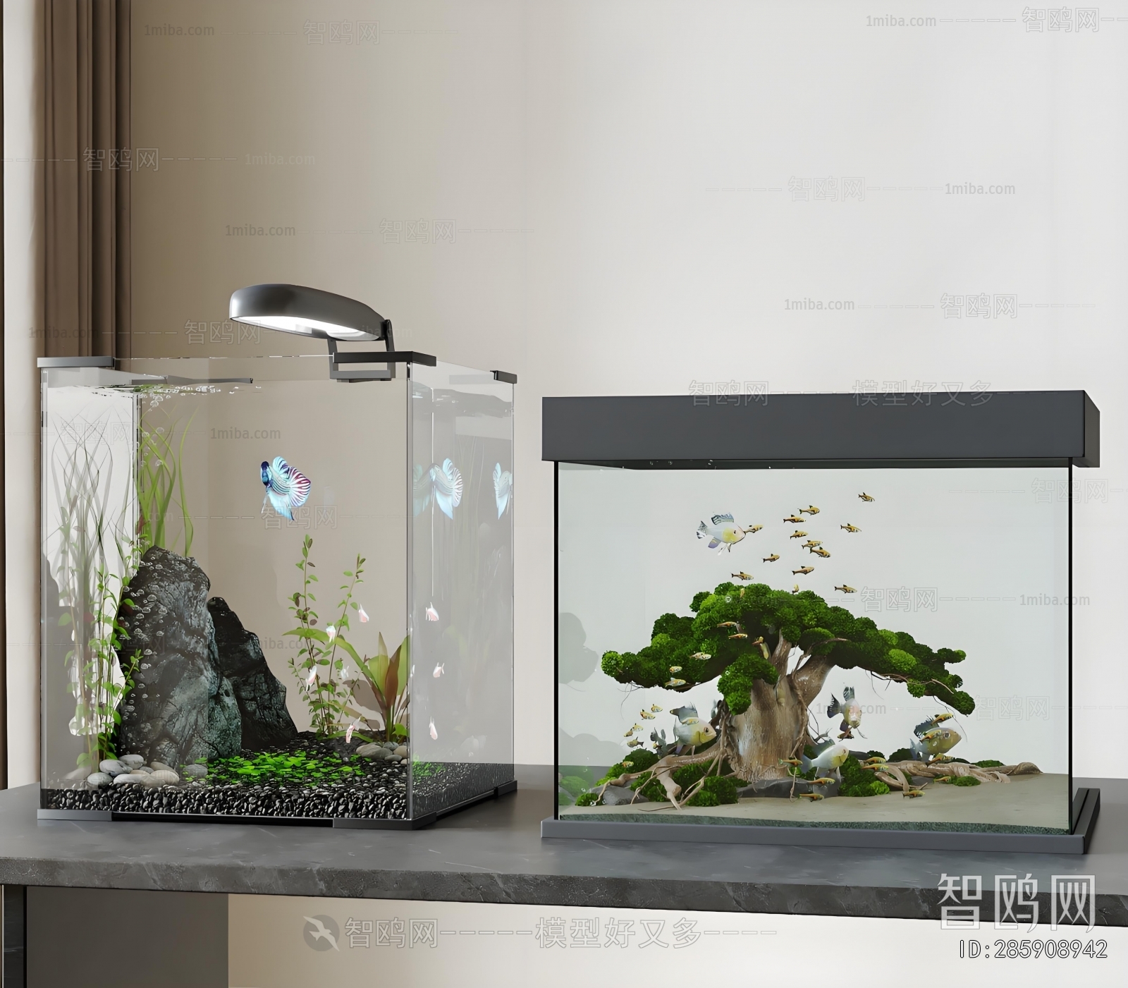 Modern Fish Tank