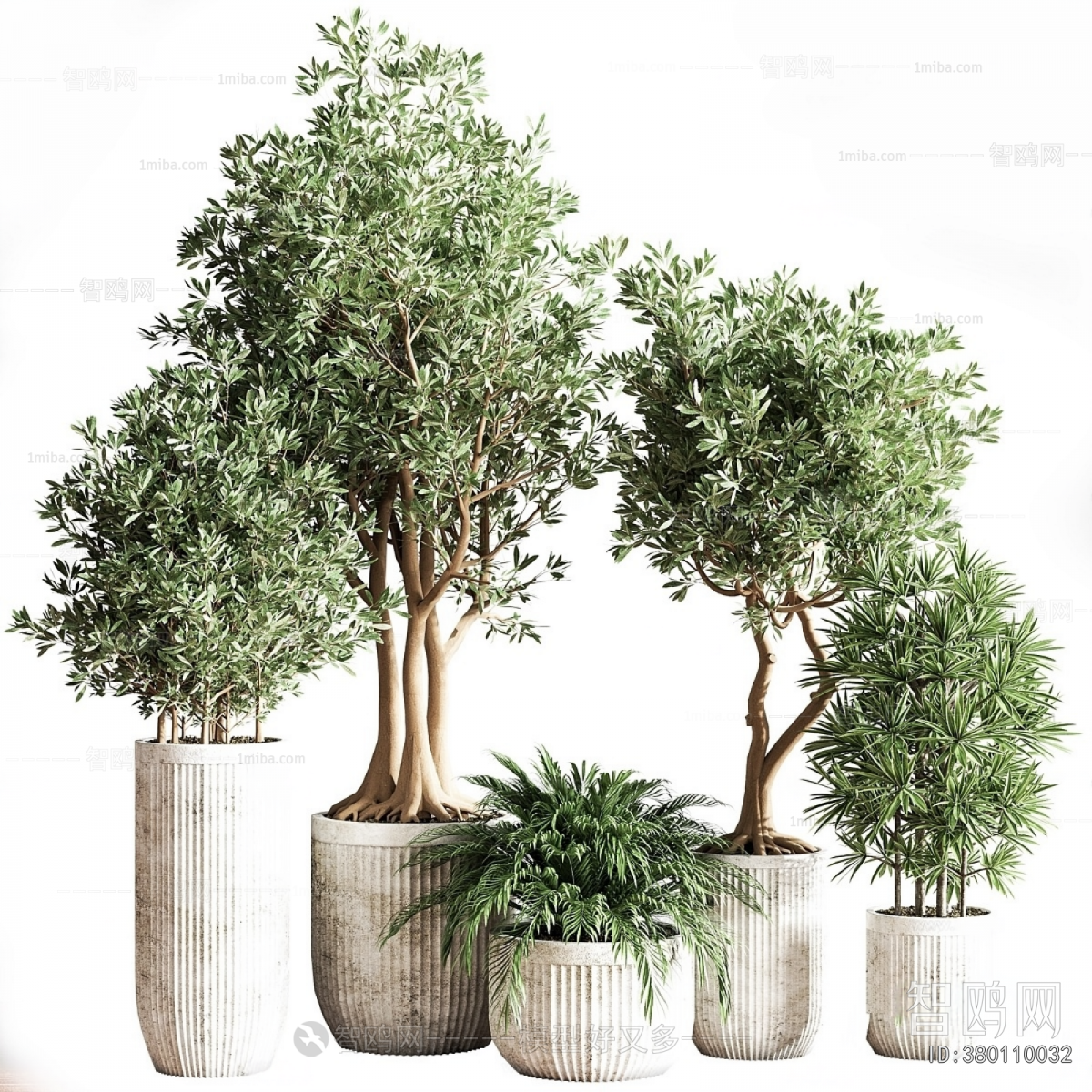 Modern Ground Green Plant Potted Plants