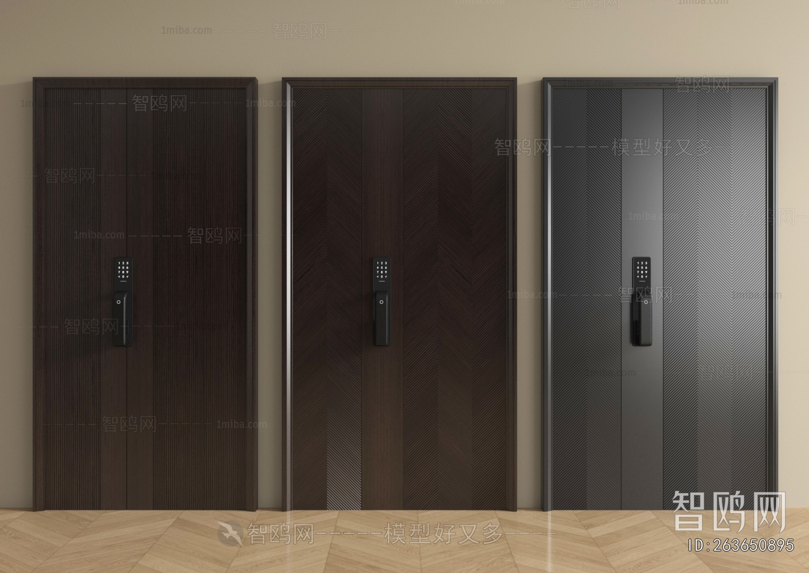 Modern Entrance Door