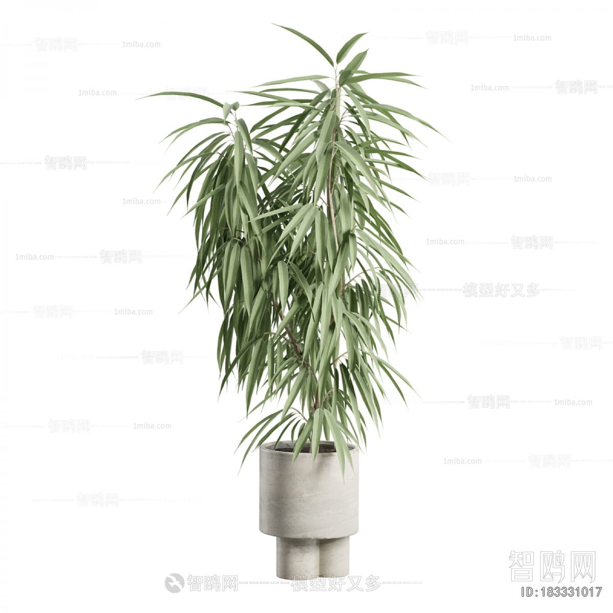 Modern Ground Green Plant Potted Plants