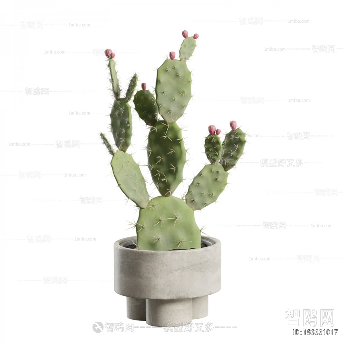 Modern Ground Green Plant Potted Plants
