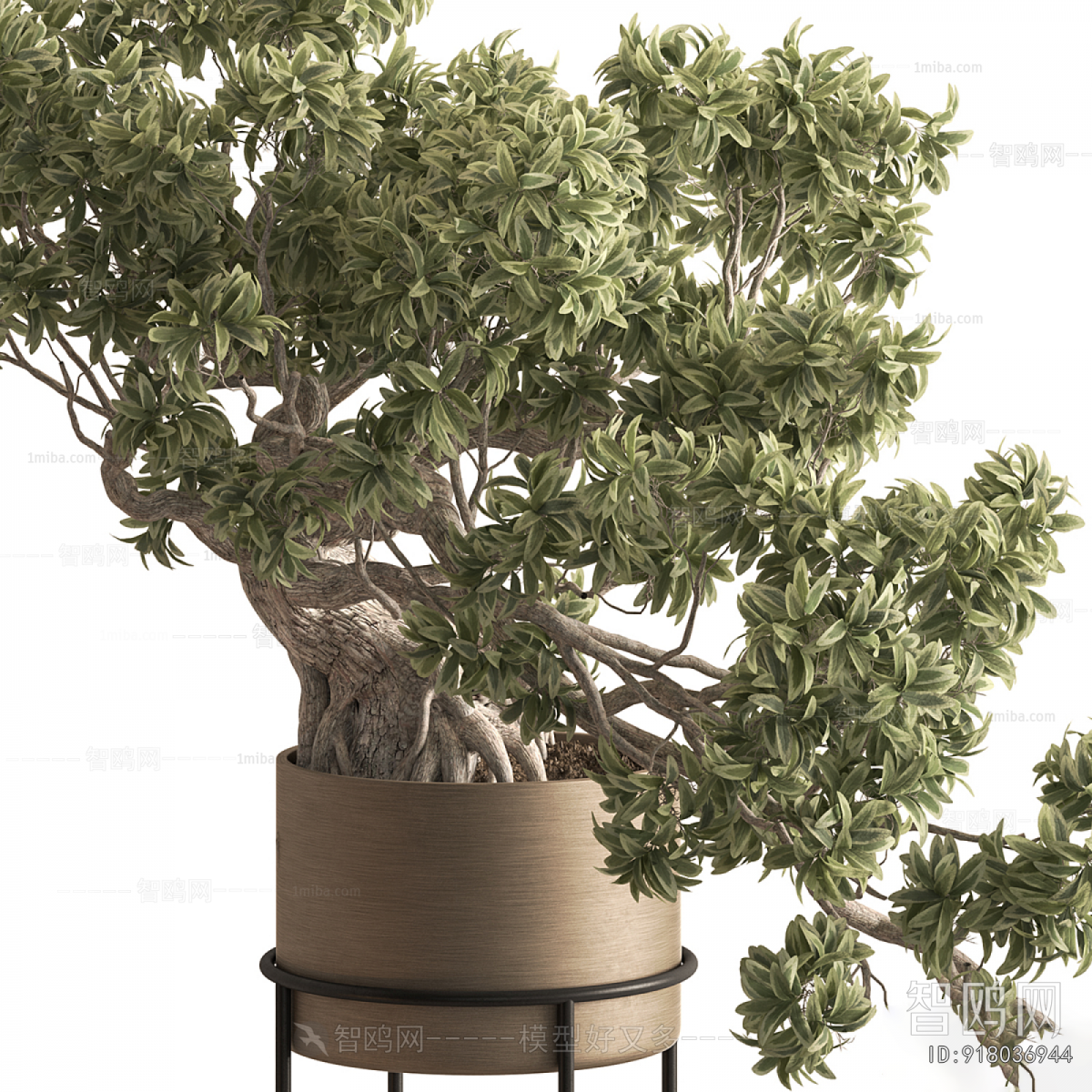 New Chinese Style Bonsai
