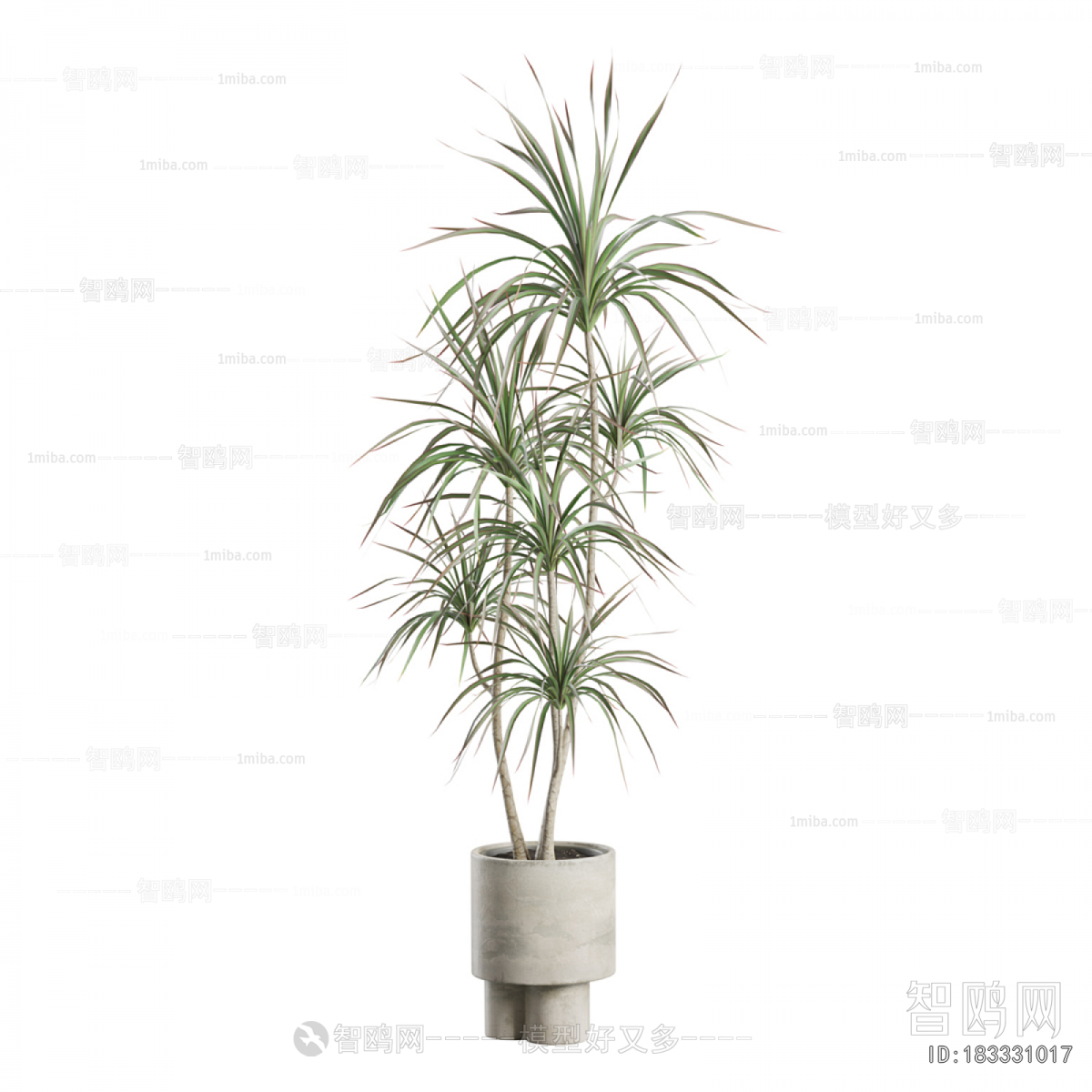 Modern Ground Green Plant Potted Plants