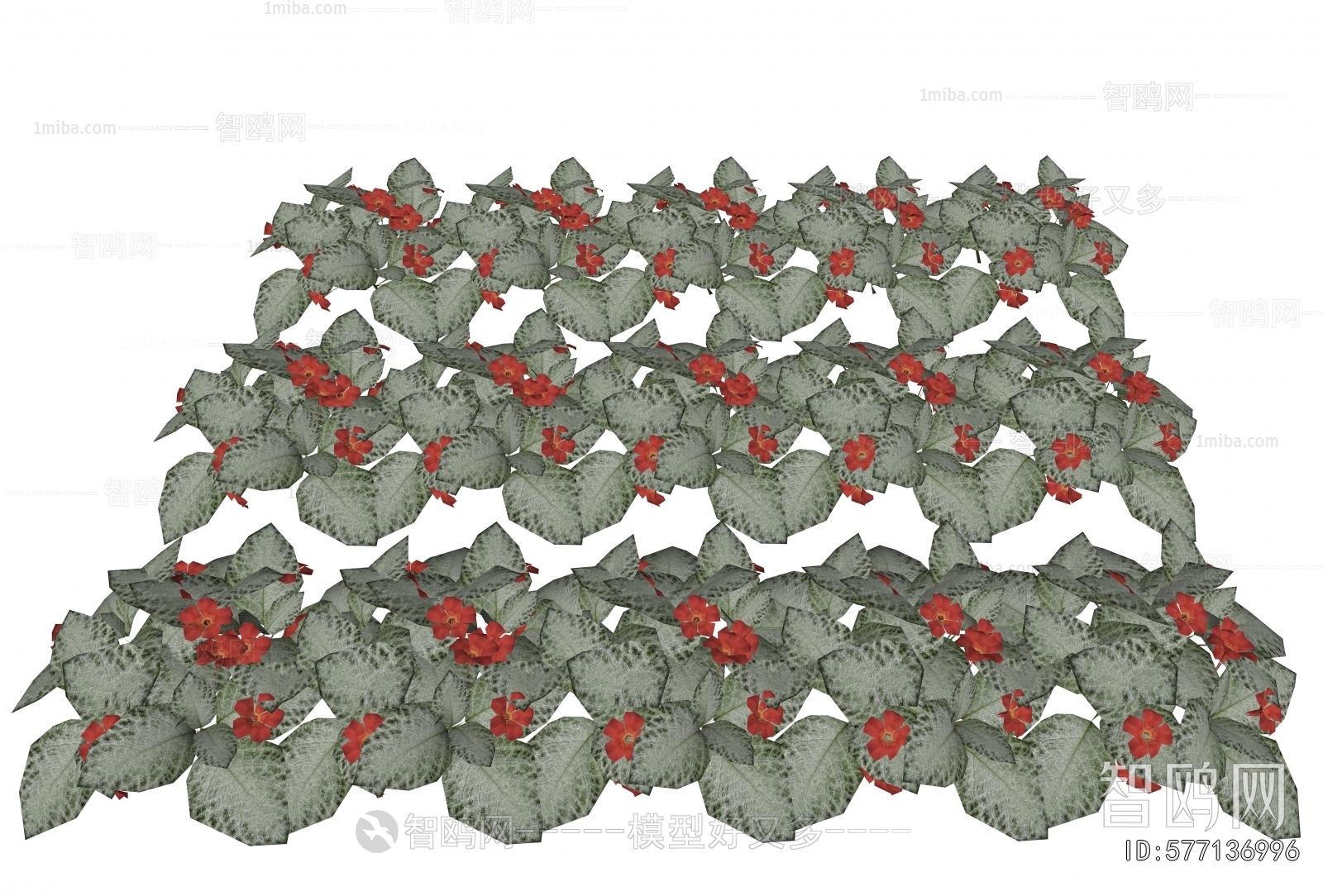 Modern Flowers And Grass