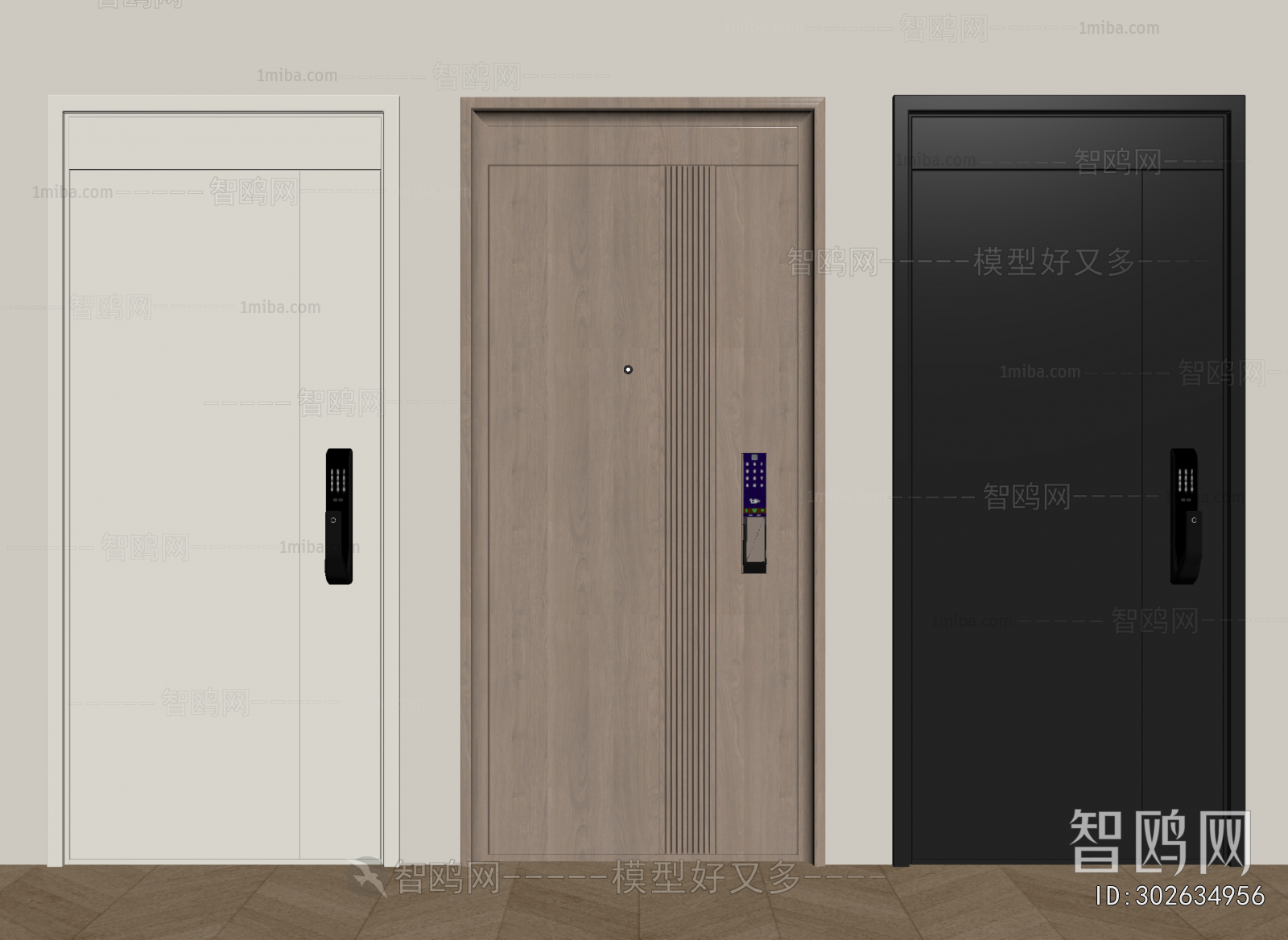 Modern Entrance Door