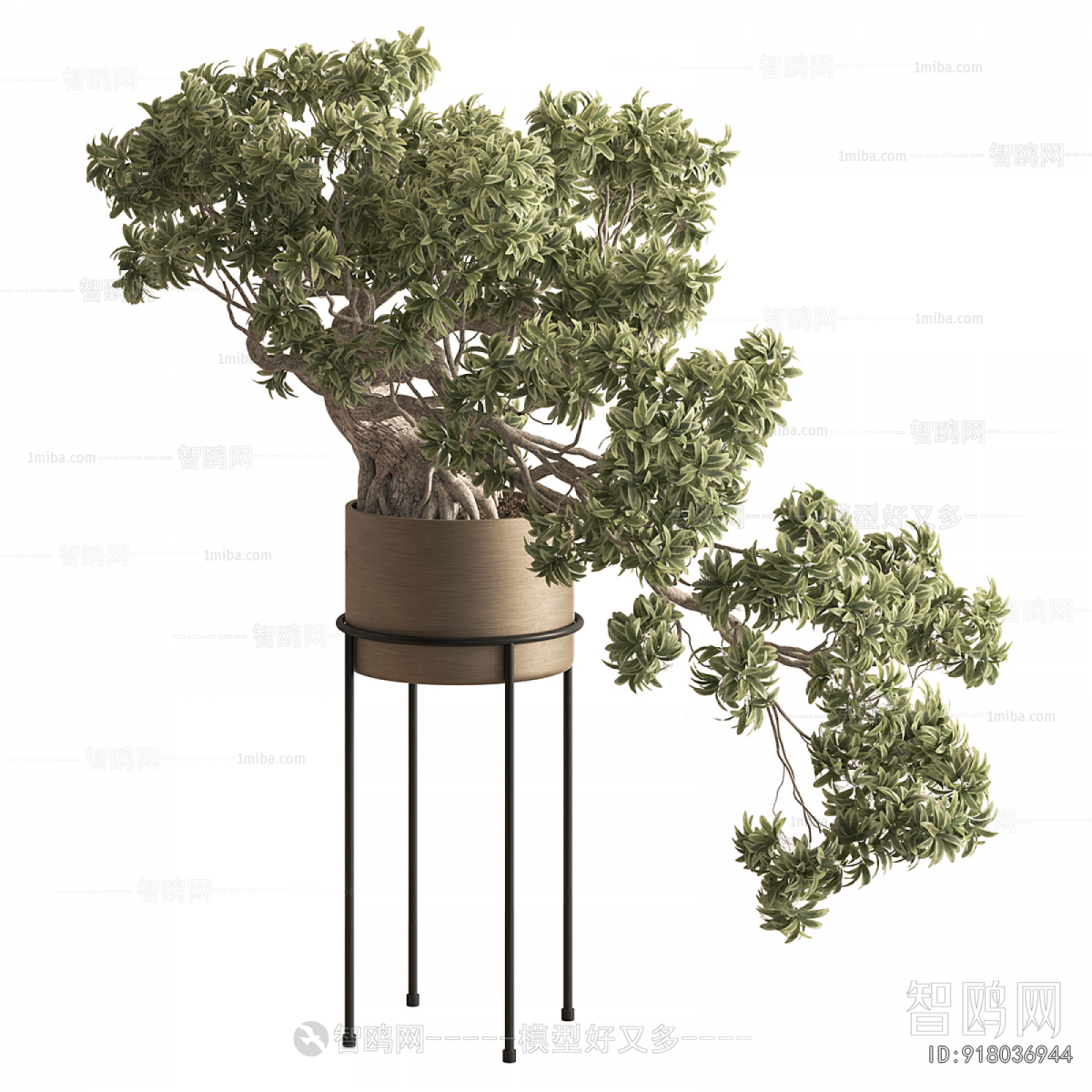 New Chinese Style Bonsai