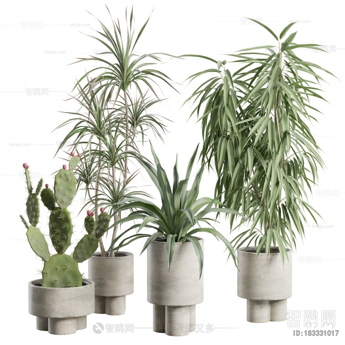 Modern Ground Green Plant Potted Plants