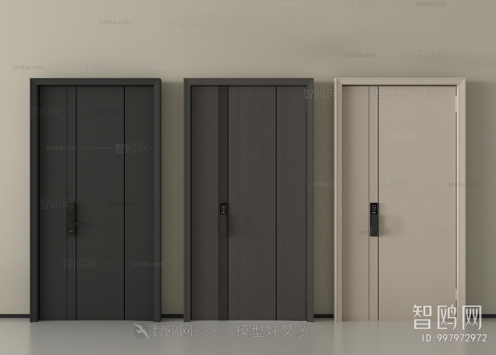 Modern Entrance Door