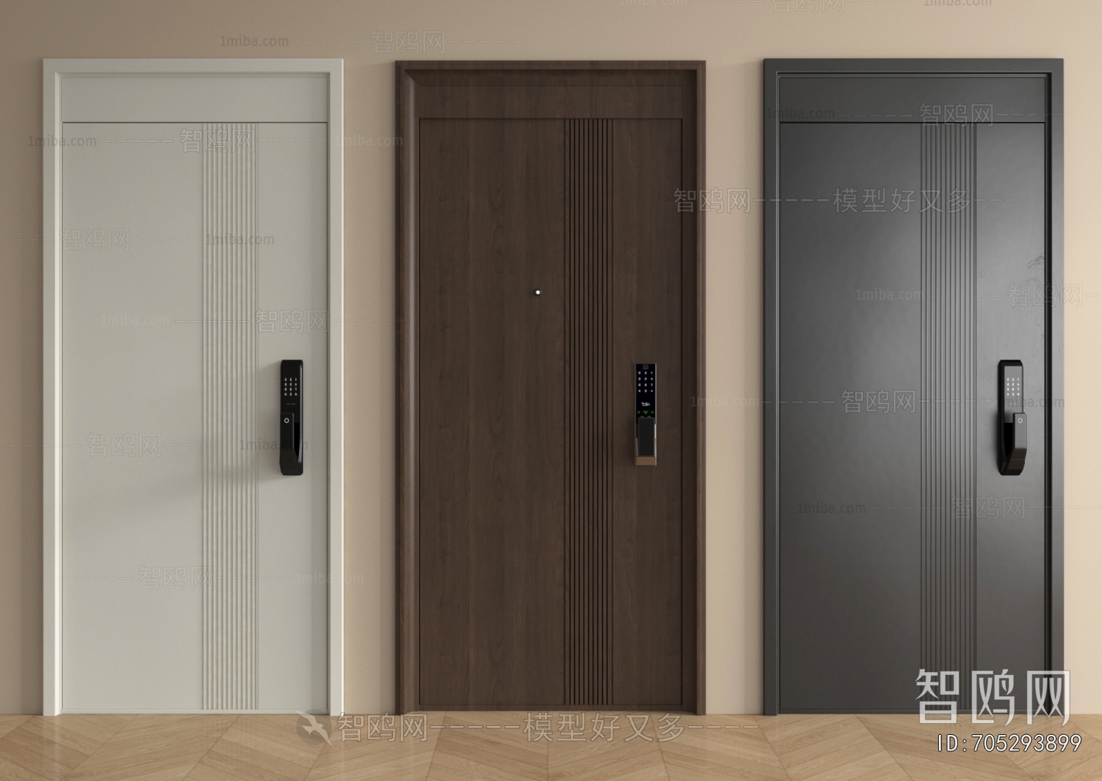 Modern Entrance Door