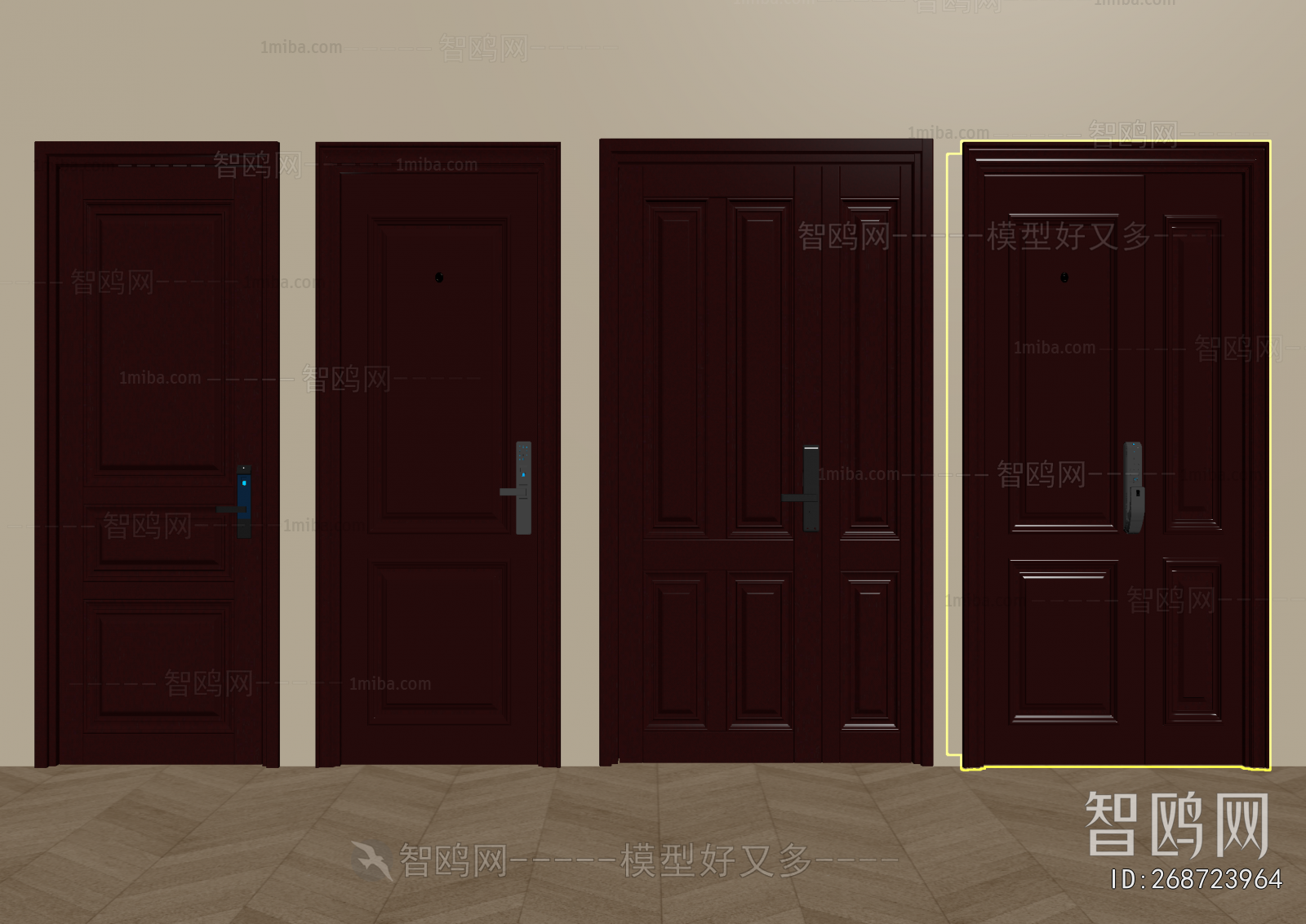 Modern Entrance Door