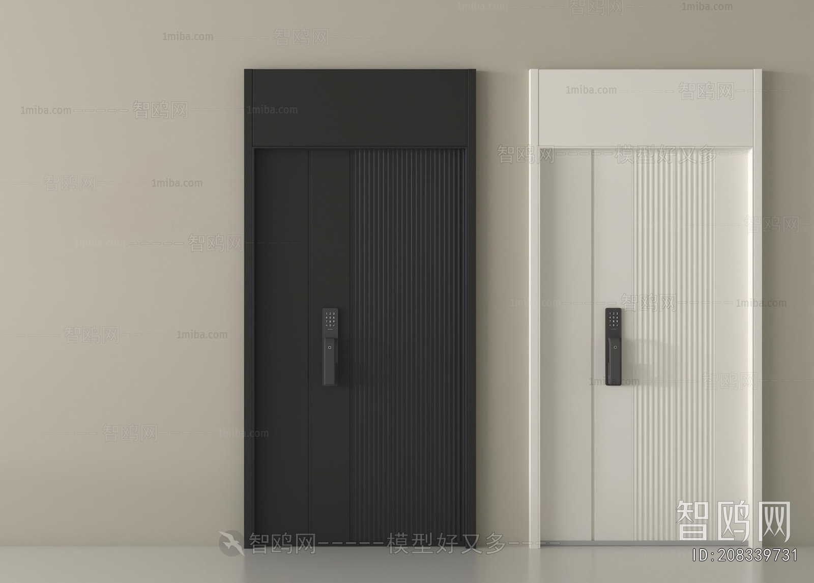 Modern Entrance Door