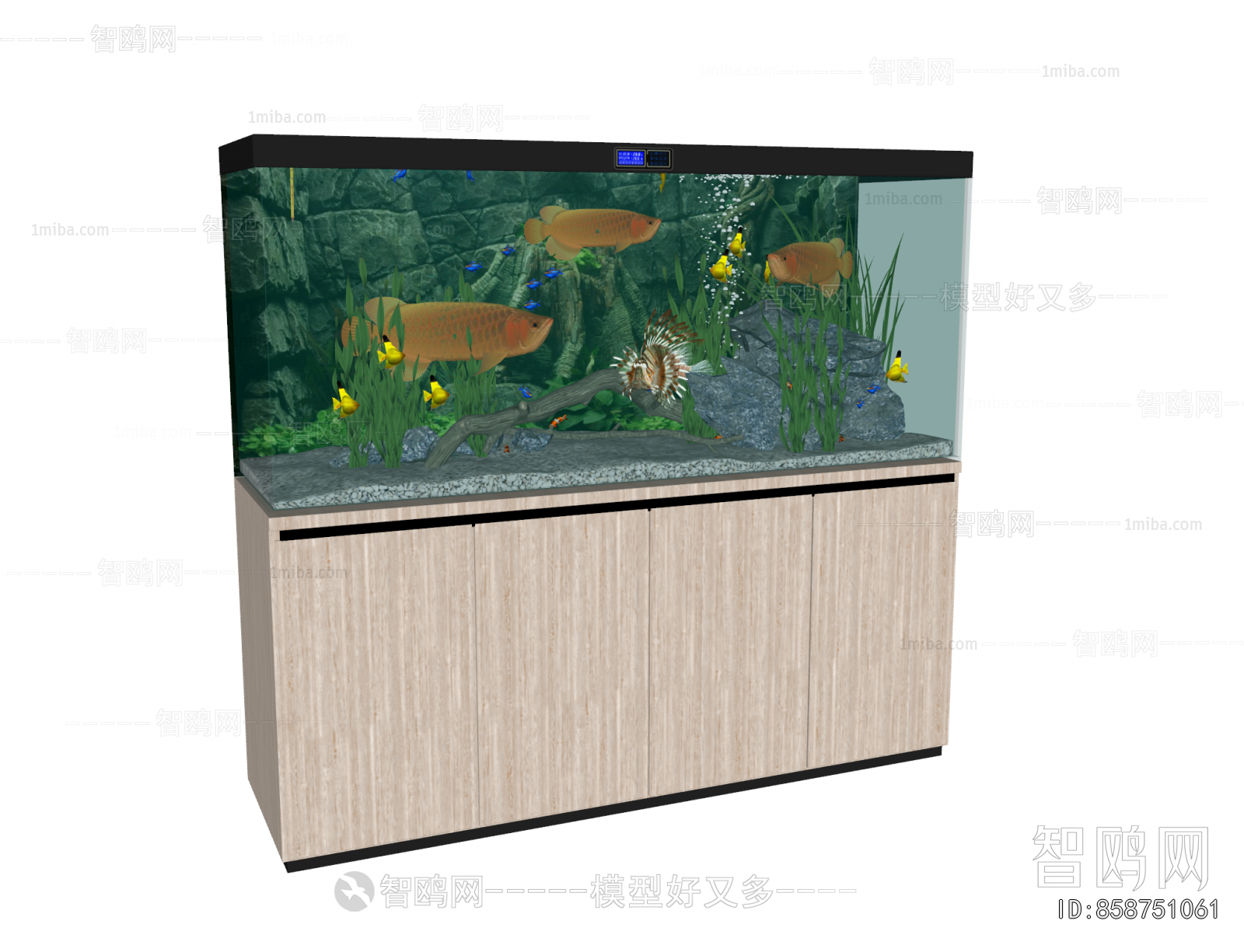 Modern Fish Tank